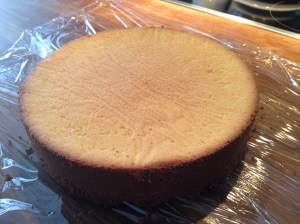 William og Markus fram til 20.05.2014 829