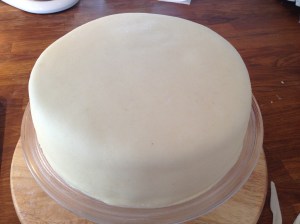 William og Markus fram til 20.05.2014 835