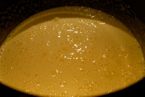 Speilreflekskamera 23.11.14 112