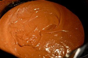 Speilreflekskamera 23.11.14 114