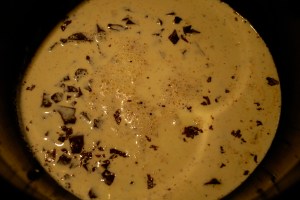 Speilreflekskamera 23.11.14 128