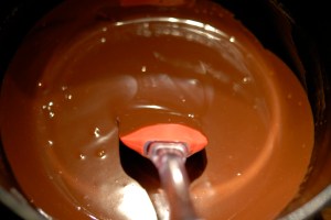 Speilreflekskamera 23.11.14 133