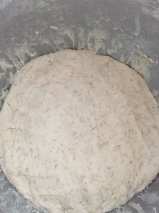 Februar 17.02.15 198