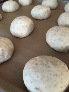 Februar 17.02.15 207