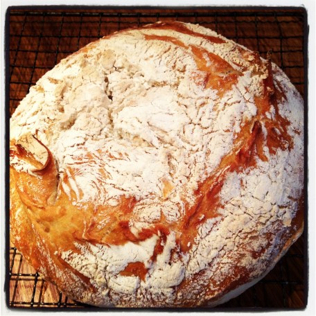 William og Markus fram til 20.05.2014 547